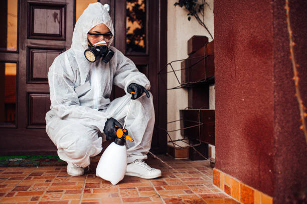 Reliable Mosquito Control contractor in Bouse, AZ by Show Me Pest Control